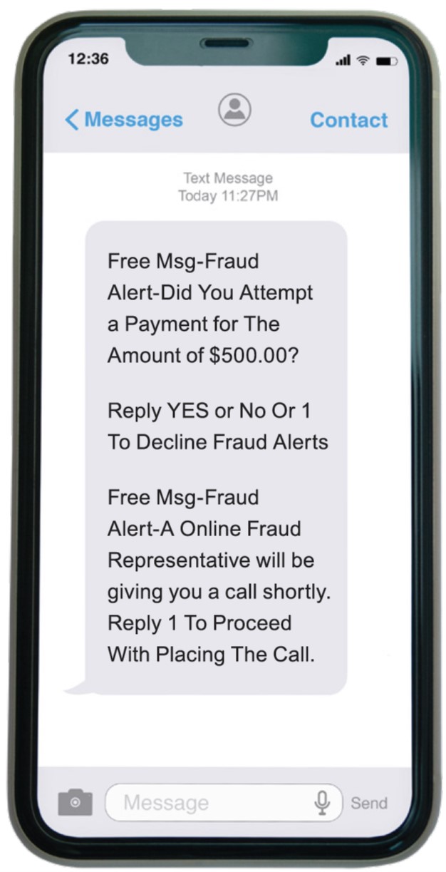 Fraudulent text message on a phone