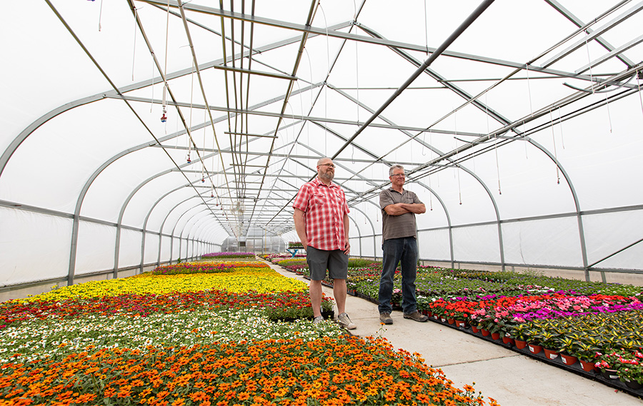 Jeremy and Marty inside one of their greenhouses